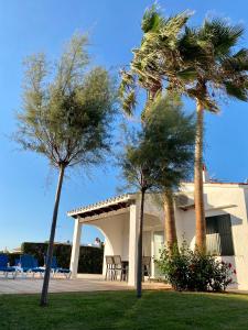 two palm trees in front of a house at BiniVento- Lovely villa with pool near the beach in Binibeca