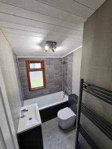 a bathroom with a toilet and a sink and a tub at 4 Bed Luxury Lodge with Hot tub near Lake District in Warton