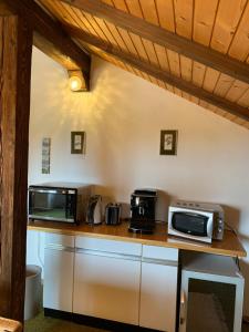 a kitchen with two microwaves on a counter at 2 Zimmer Wohnung am Süd-Schwarzwald in Murg