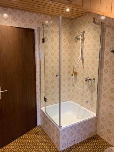 a bathroom with a shower and a bath tub at 2 Zimmer Wohnung am Süd-Schwarzwald in Murg