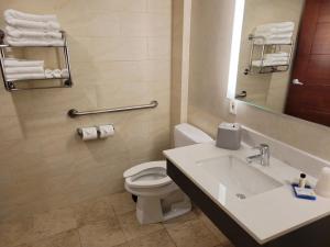a bathroom with a white toilet and a sink at Holiday Inn Express Maspeth, an IHG Hotel in Queens
