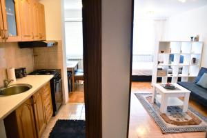 a kitchen with a sink and a living room at Apartman Roses in Lukavica