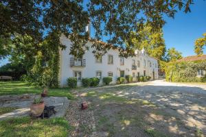 uma grande casa branca com uma árvore em frente em Quinta da Torre em Torre