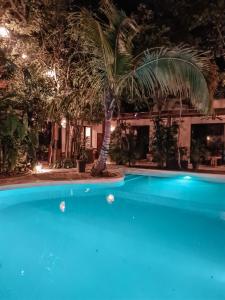 a swimming pool at night with a palm tree at Trece Lunas Tulum in Tulum