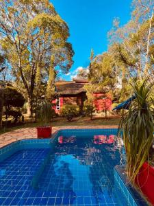 uma piscina azul com plantas em frente a uma casa em Sitio Cores da Mata em Brumadinho