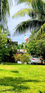 a car parked in a field with palm trees at Casa Palagui Colonial in Valladolid