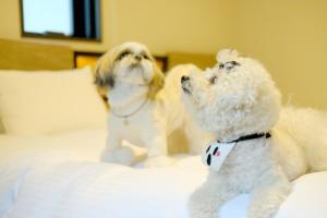 two white dogs are sitting on a bed at ICI HOTEL Asakusabashi in Tokyo