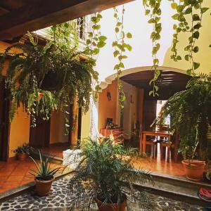 a room with lots of potted plants on the ceiling at Hotel Casa Sofia in Antigua Guatemala