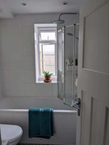 Cozy 1 Bedroom Apartment in Maida Vale