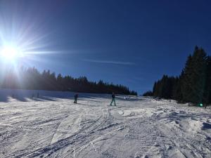 Almhütte Hebalm durante l'inverno