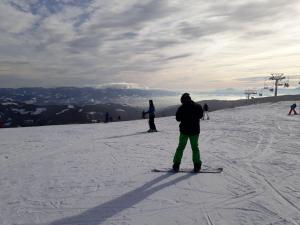 Attività di sci presso lo chalet o nelle vicinanze