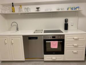 Kuchyň nebo kuchyňský kout v ubytování Haus Gartenblick