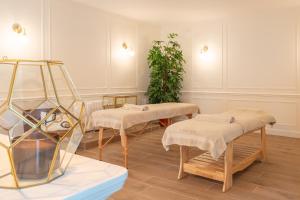 una habitación con 2 mesas de masaje y una planta en LAROZIERE Chambres d’hôtes, en Wimereux