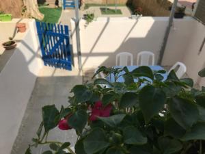 Billede fra billedgalleriet på Queen of the Dead Sea Crown Group Collection i Neve Zohar