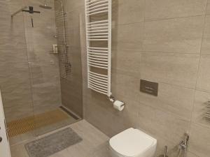 uma casa de banho com um WC e uma cabina de duche em vidro. em Miško Apartments em Silutė
