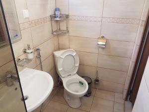 a small bathroom with a toilet and a sink at Дургунската къща -Durgunskata kashta in Stolat