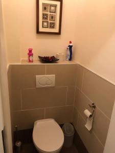 a bathroom with a toilet and a shelf above it at Gemütliche 3 Zimmer Wohnung in Frauenhofen