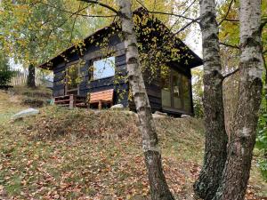 eine Blockhütte im Wald mit Bäumen in der Unterkunft Trees House Parang in Petroşani