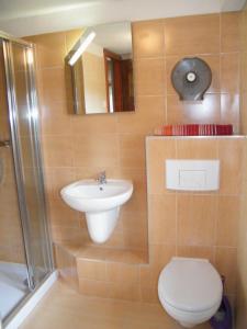 a bathroom with a toilet and a sink and a shower at Dom Wczasowy Góralówka in Międzybrodzie Bialskie