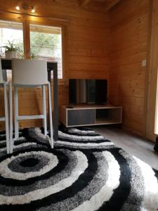 ein Wohnzimmer mit einem TV und einem Teppich in der Unterkunft Le Petit Chalet de Nîmes Shantay Youstay in Nîmes