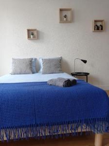 a blue bed with a blue blanket on top of it at Appartement cosy au coeur de la ville d'Auch in Auch