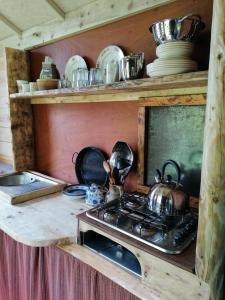 uma cozinha com um fogão com panelas e frigideiras em Stunning 1-Bed Cabin in Totnes em Totnes