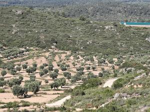 Campo Golden Heritage OFF GRID في Maella: اطلالة جوية على ميدان اشجار فوق جبل