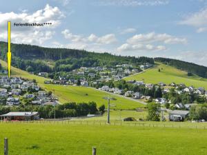 a small town on a hill with a green field at FerienBlockhaus Willingen mit MeineCardPlus in Willingen