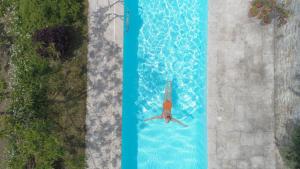 a person swimming in a swimming pool at Château de Sothonod in Sothonod