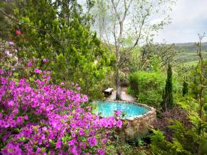 a garden with a swimming pool surrounded by flowers at Great Dane at Brittlewood in Underberg