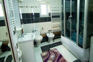 een badkamer met 2 toiletten, een wastafel en een douche bij Pensiunea Dragoș Vodă Breb in Breb