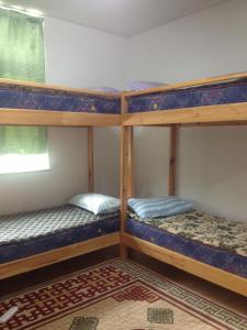 a room with three bunk beds in it at Sunpath Mongolia Tour & Hostel in Ulaanbaatar