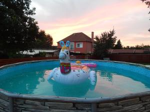a pool with a inflatable inflatable dog in the water at Bogácsa Apartman in Bogács