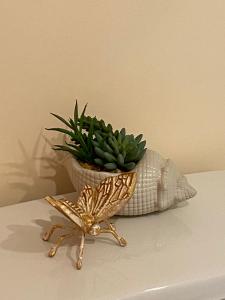 Billede fra billedgalleriet på Beach Street Inn i Saint Martins + 46 billeder