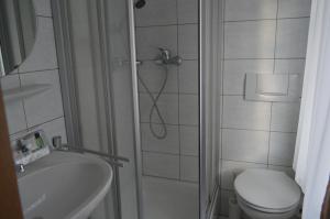 y baño con ducha, aseo y lavamanos. en Gasthof Hotel Löwen, en Bad Buchau