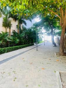 Una calle adoquinada con árboles y una copa de árboles. en Santa Marta Bello Horizonte - Cabañas Don Rafa, en Santa Marta