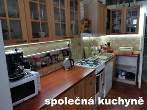 Kuchyň nebo kuchyňský kout v ubytování U Černého orla