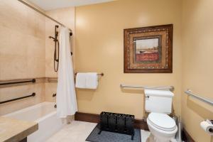 a bathroom with a toilet and a bath tub at Arrowleaf Lodge - 1 Bed Studio #111B in Park City