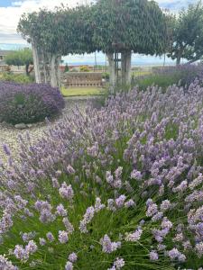 Billede fra billedgalleriet på Dungeness Barn House Bed and Breakfast at Two Crows Farm i Sequim + 93 billeder