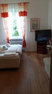 a bedroom with a bed and a television and a window at Villa Amber in Bad Kissingen