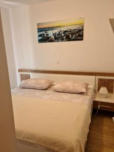 Fotografia z galérie ubytovania Apartment Ivica v destinácii Veliki Drvenik