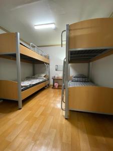 two bunk beds in a room with a wooden floor at Saesori Guesthouse in Gangneung