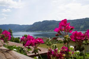 a bunch of pink flowers with a view of a lake at FEWO Wonta am Ossiachersee in Sattendorf