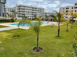 two palm trees in the grass near a swimming pool at Pool view apartment in Funchal