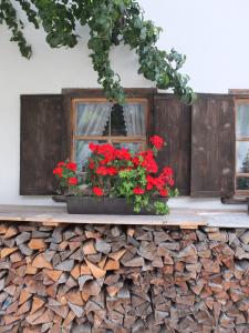 Zahrada ubytování Bauernhaus Ramona