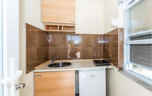 Kuchyň nebo kuchyňský kout v ubytování Three-Bedroom Holiday Home In Dubrava