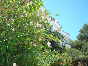 マスーリーにあるペガサスのギャラリーの写真 +54枚の写真