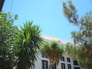 マスーリーにあるペガサスのギャラリーの写真