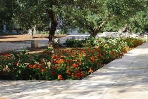A garden outside Tenuta Pigliano Hotel
