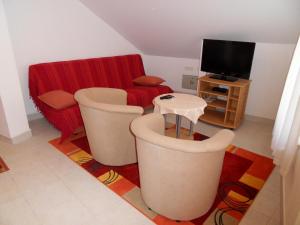 TV a/nebo společenská místnost v ubytování Apartments Petricevic 2